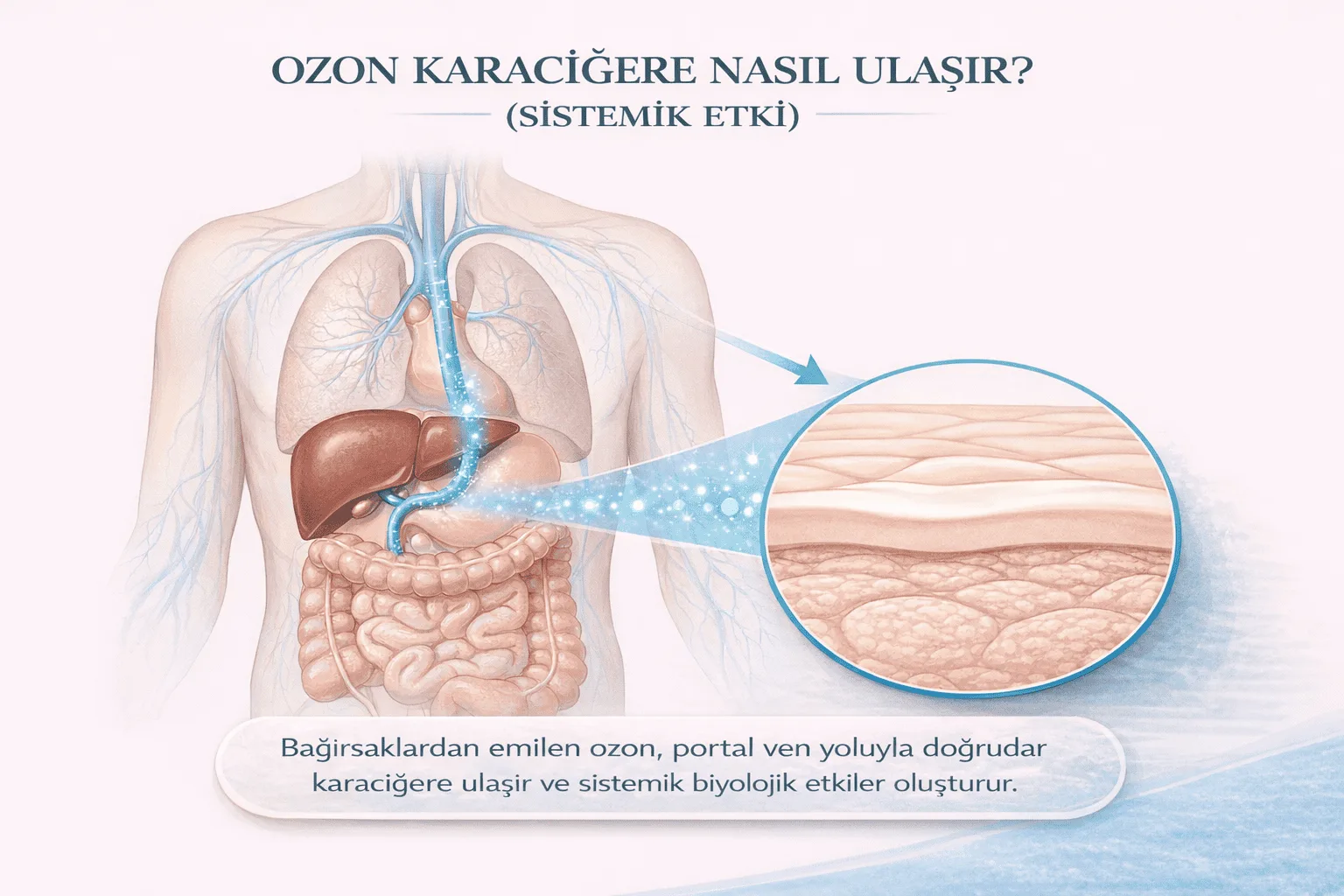 Rectal Ozone Therapy